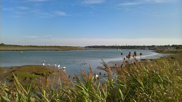 wp_20160928_13_01_54_pro