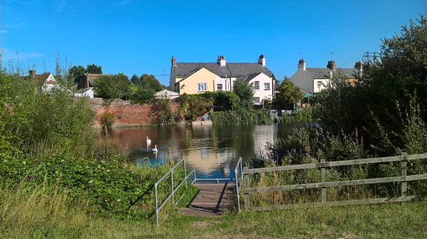 wp_20160928_12_34_37_pro