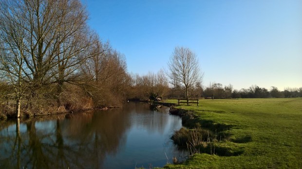 WP_20170105_10_34_42_Pro[1]